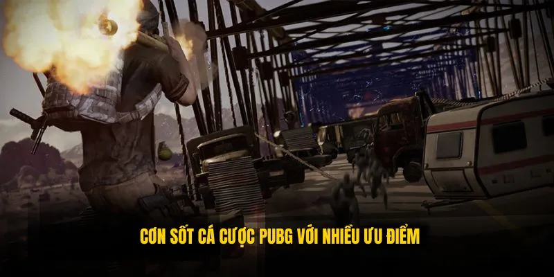 Lý giải độ hot của hình thức đặt cược PUBG