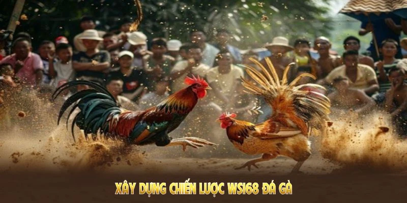 Xây dựng chiến lược khôn ngoan tại WS168 đá gà